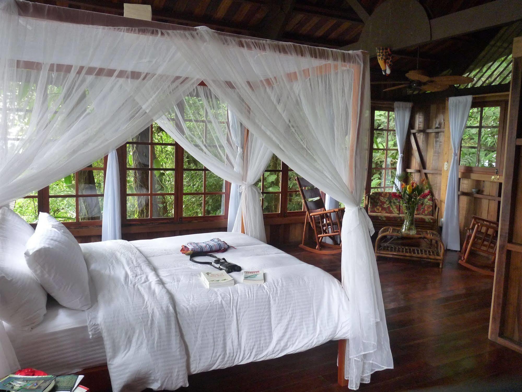 Rio Magnolia Nature Lodge Tinamaste Exterior foto